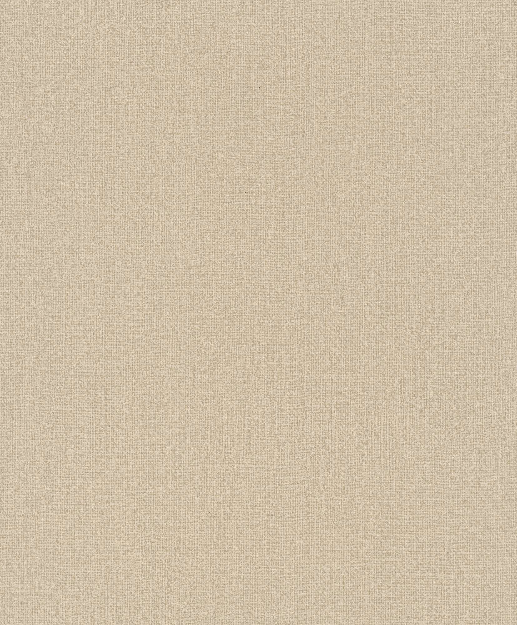 Hooked on Walls Passe Partout 2025 - 4457