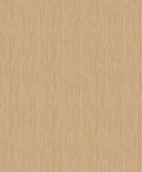 Hooked on Walls Passe Partout 2025 Rafia 4464