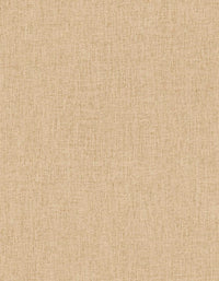 Hooked on Walls Passe Partout 2025 Unito 4494