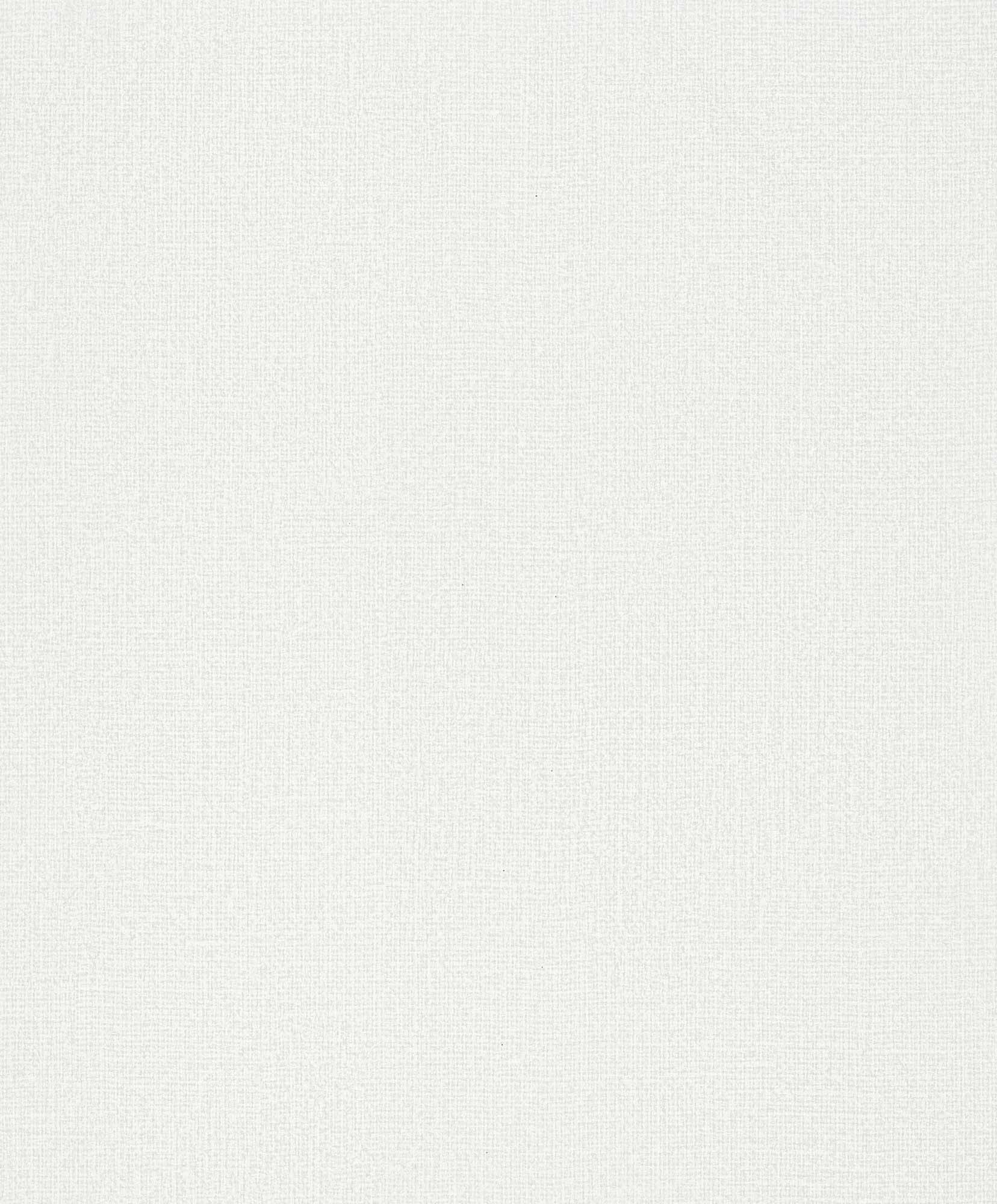 Hooked on Walls Passe Partout 2025 Loft Sup 4509