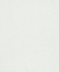 Hooked on Walls Passe Partout 2025 Travertino 4511