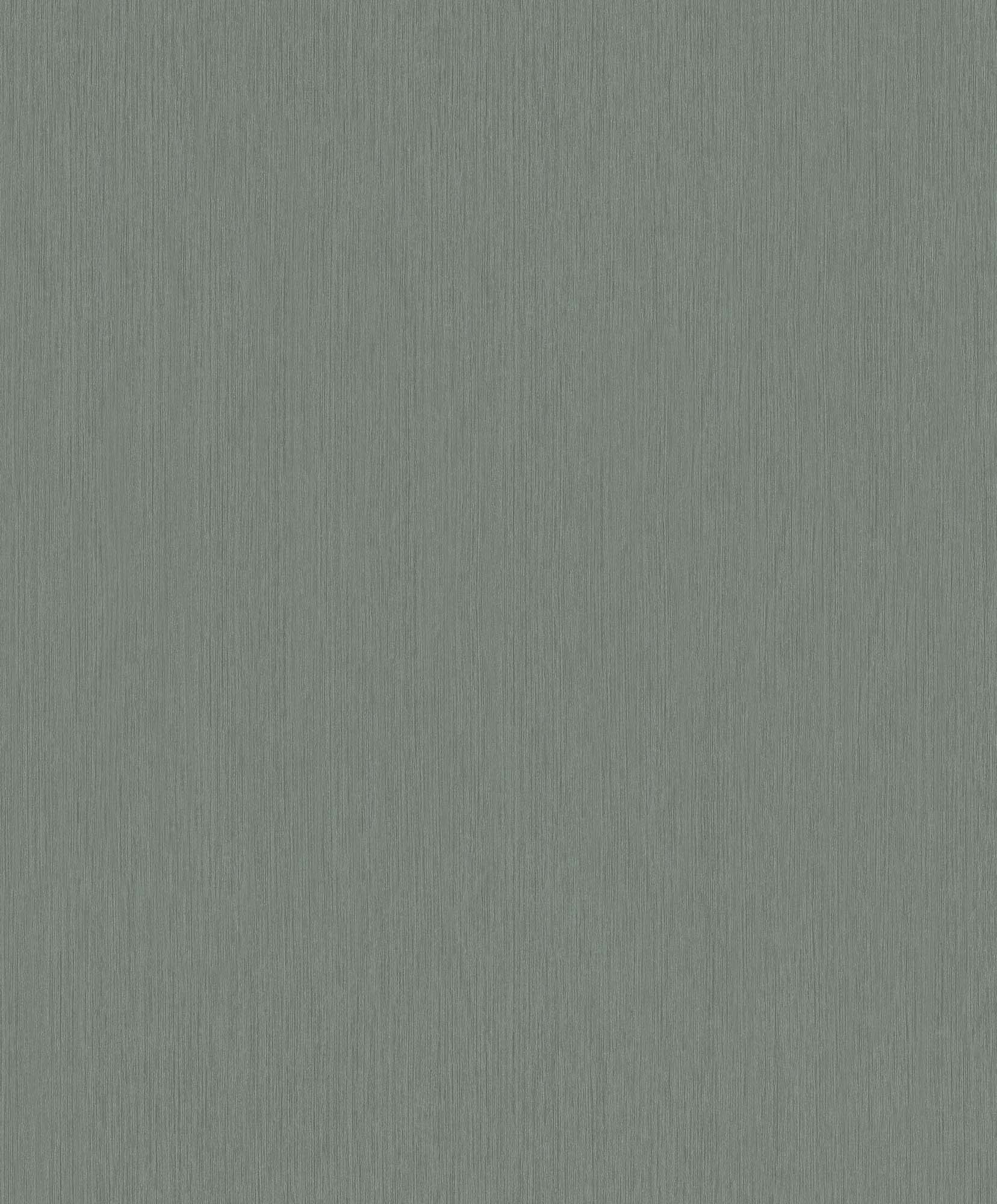 Hooked on Walls Passe Partout 2025 - 4560