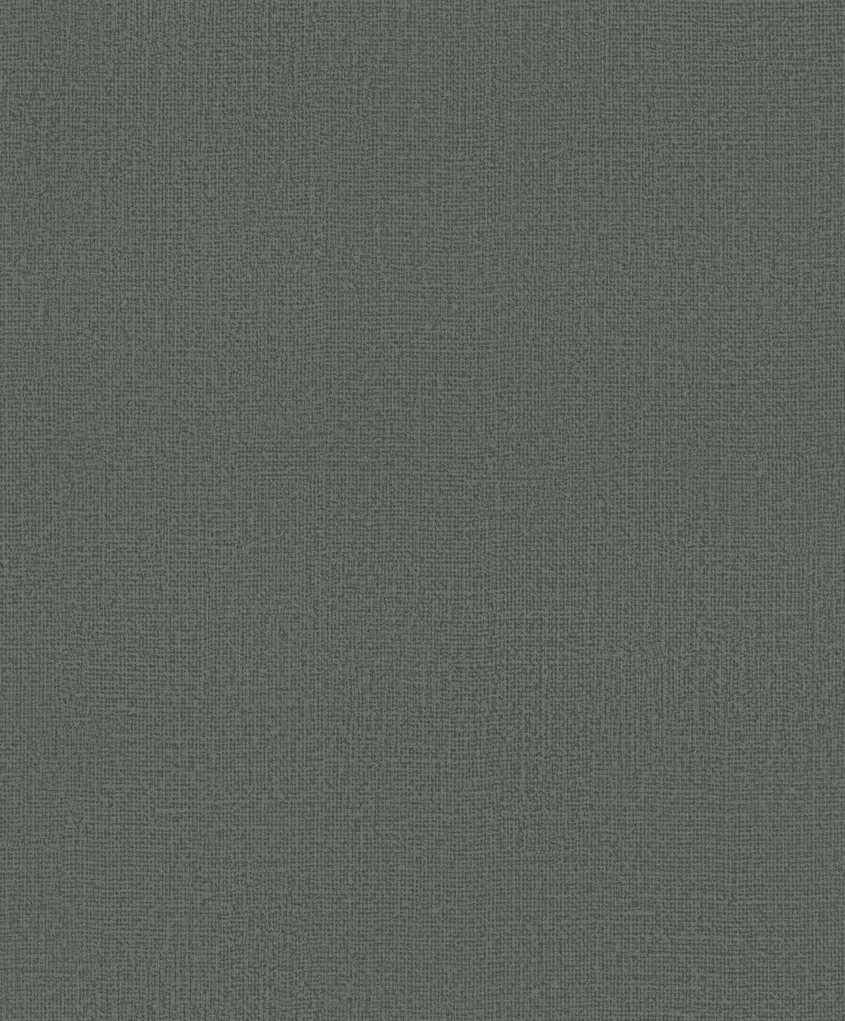 Hooked on Walls Passe Partout 2025 Loft Sup 4561