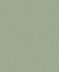 Hooked on Walls Passe Partout 2025 Plain 4565