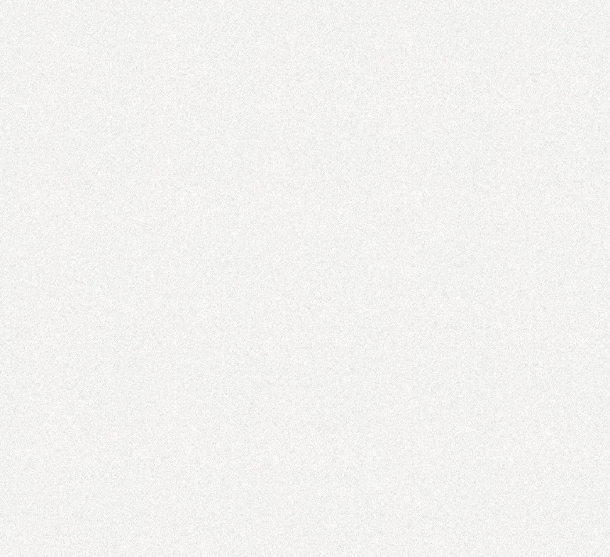 Hooked on Walls Passe Partout 2026 Casa Blanca Surface 29610