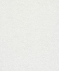 Hooked on Walls Passe Partout 2026 Casa Blanca Travertino 29624