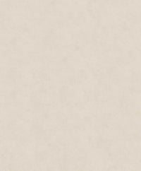 Hooked on Walls Passe Partout 2026 Casa Blanca Shades 29697