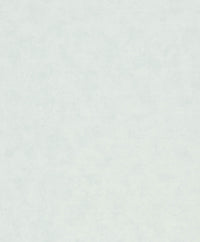 Hooked on Walls Passe Partout 2026 Casa Blanca Uni 29712