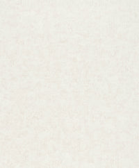 Hooked on Walls Passe Partout 2026 Casa Blanca Uni 29729