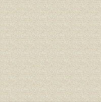 Hooked on Walls Passe Partout 2026 Casa Blanca Savio 29740