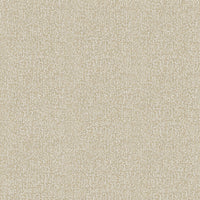 Hooked on Walls Passe Partout 2026 Casa Blanca Cadiz 29742