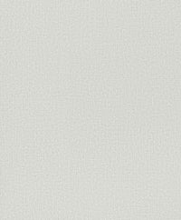 Hooked on Walls Passe Partout 2026 Casa Blanca 29768