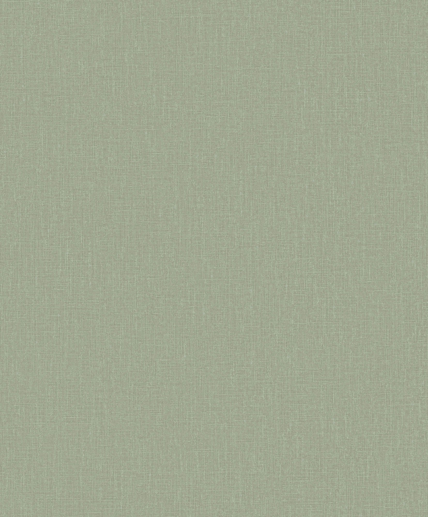 Hooked on Walls Passe Partout 2026 Colour Vibes Plain 29804