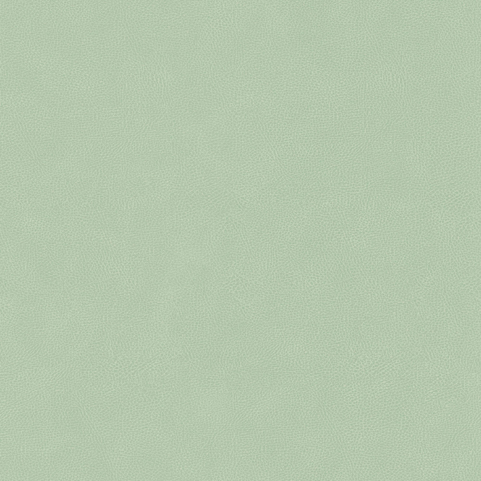 Hooked on Walls Passe Partout 2026 Colour Vibes Pelle 29805