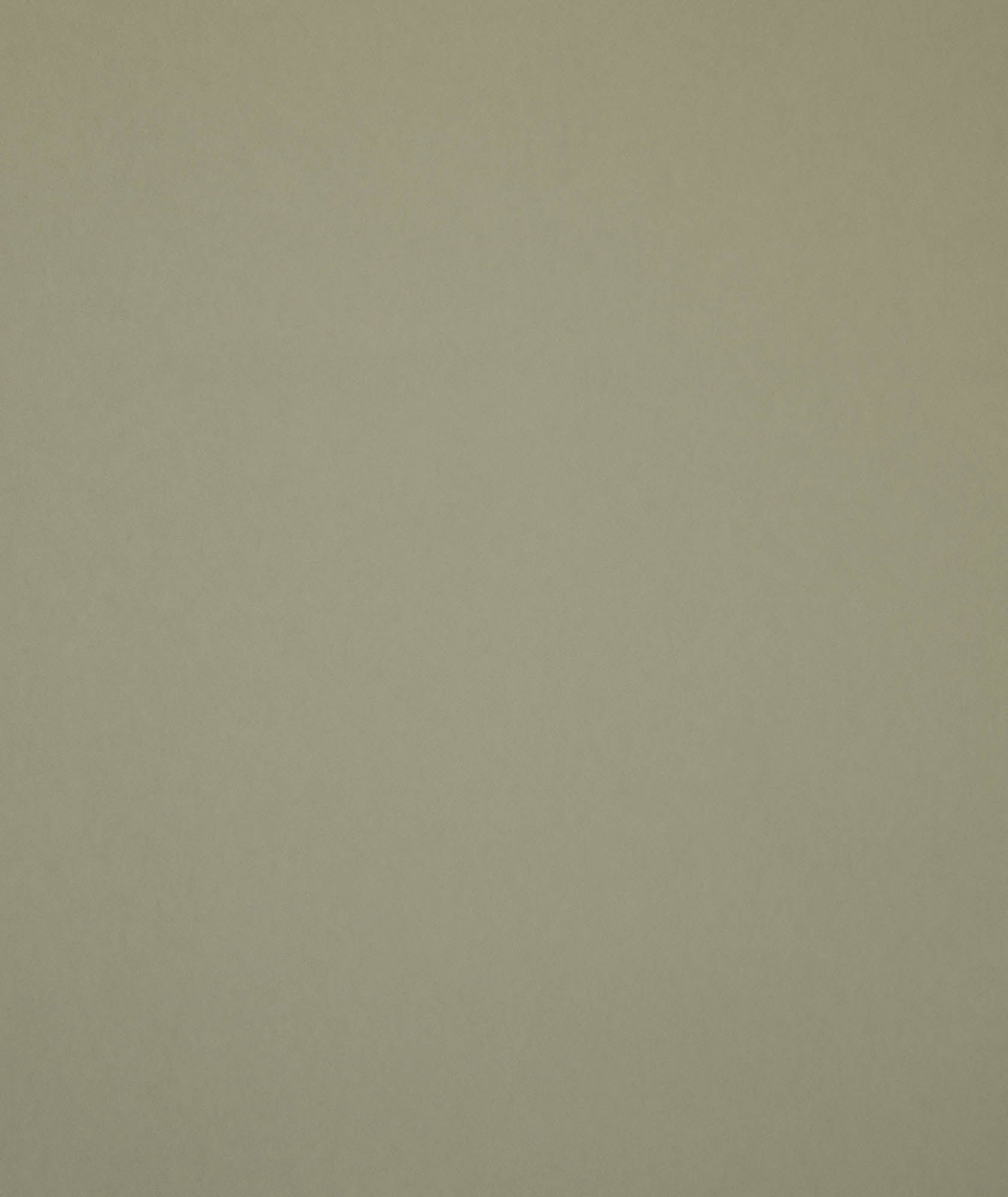 Hooked on Walls Passe Partout 2026 Colour Vibes Muro 29813