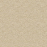 Hooked on Walls Passe Partout 2026 Colour Vibes Sisco 29821