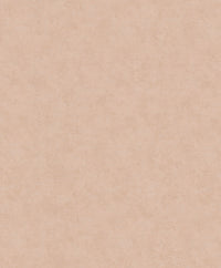 Hooked on Walls Passe Partout 2026 Colour Vibes Shades 29866