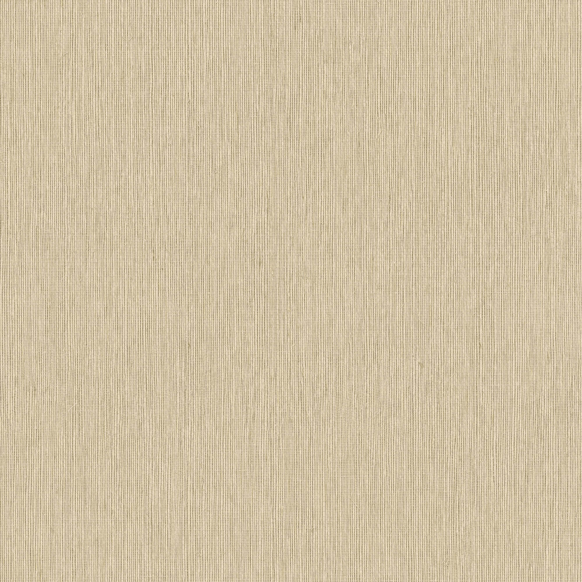 Hooked on Walls Passe Partout 2026 Colour Vibes Filo 29869