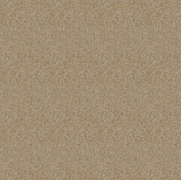 Hooked on Walls Passe Partout 2026 Colour Vibes Ambre 29905