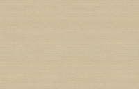 Hooked on Walls Passe Partout 2026 Colour Vibes Uni Soie Tropical 29906