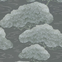 Little Green Pines Silver Pine