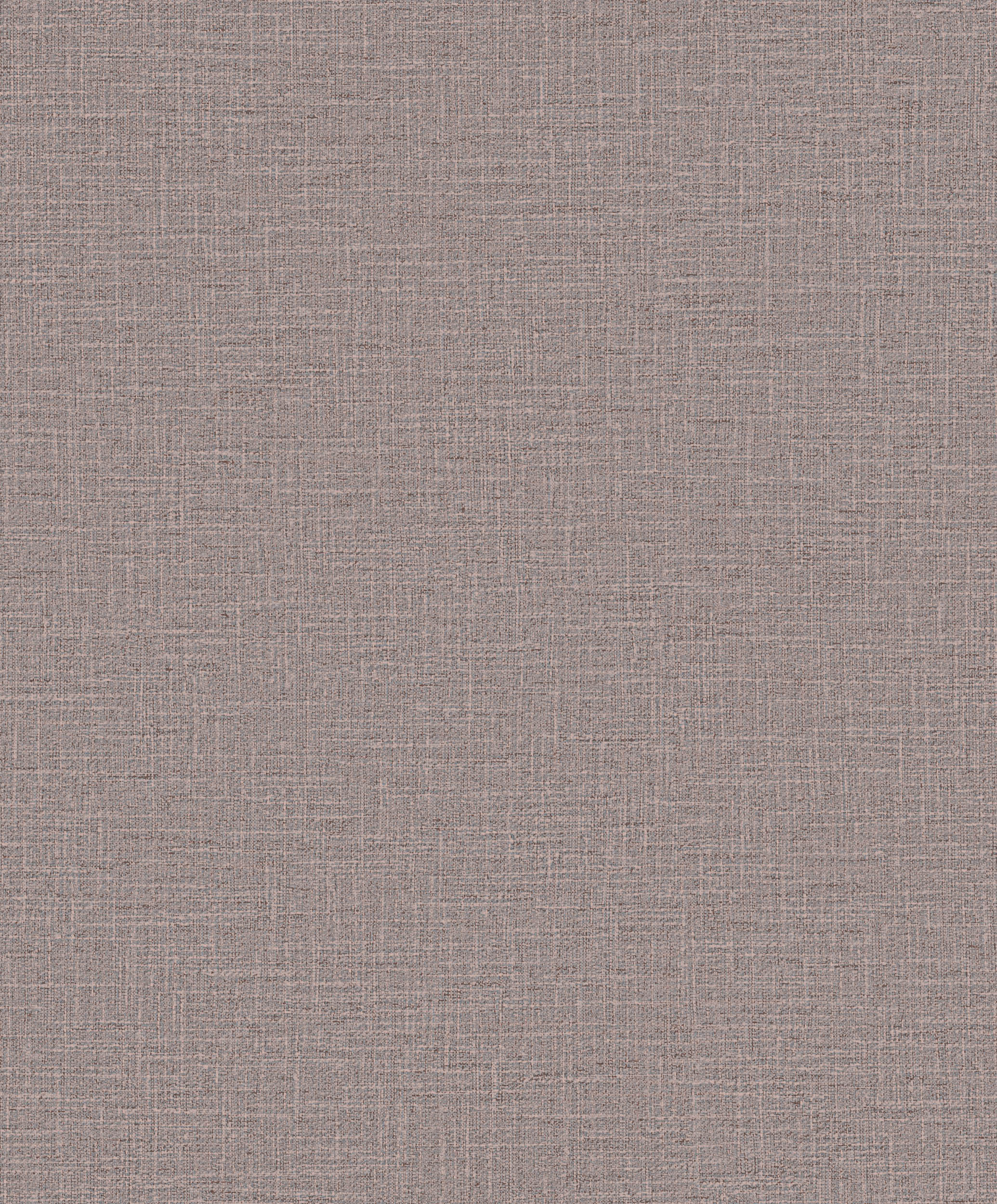 Hooked on Walls Promenade Dune 20222