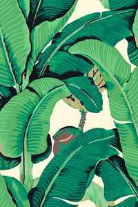 Hooked on Walls Scalamandré Hinson Palm JV26010