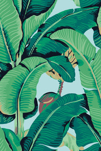 Hooked on Walls Scalamandré Hinson Palm JV26011