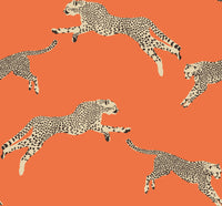 Hooked on Walls Scalamandré Leaping Cheetah JV26017