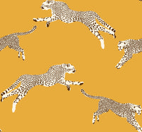 Hooked on Walls Scalamandré Leaping Cheetah JV26020