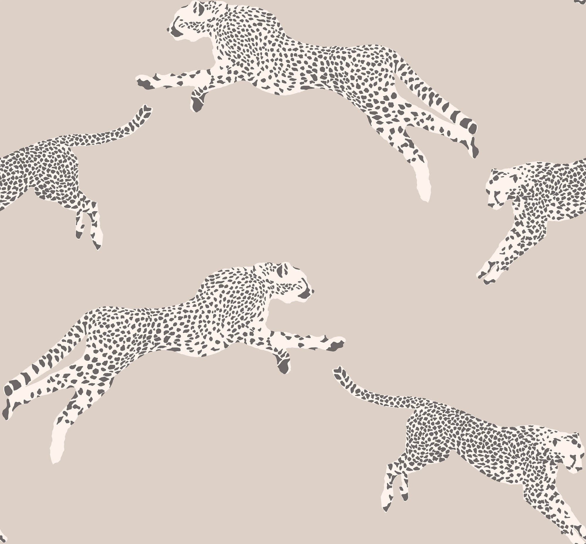 Hooked on Walls Scalamandré Leaping Cheetah JV26022