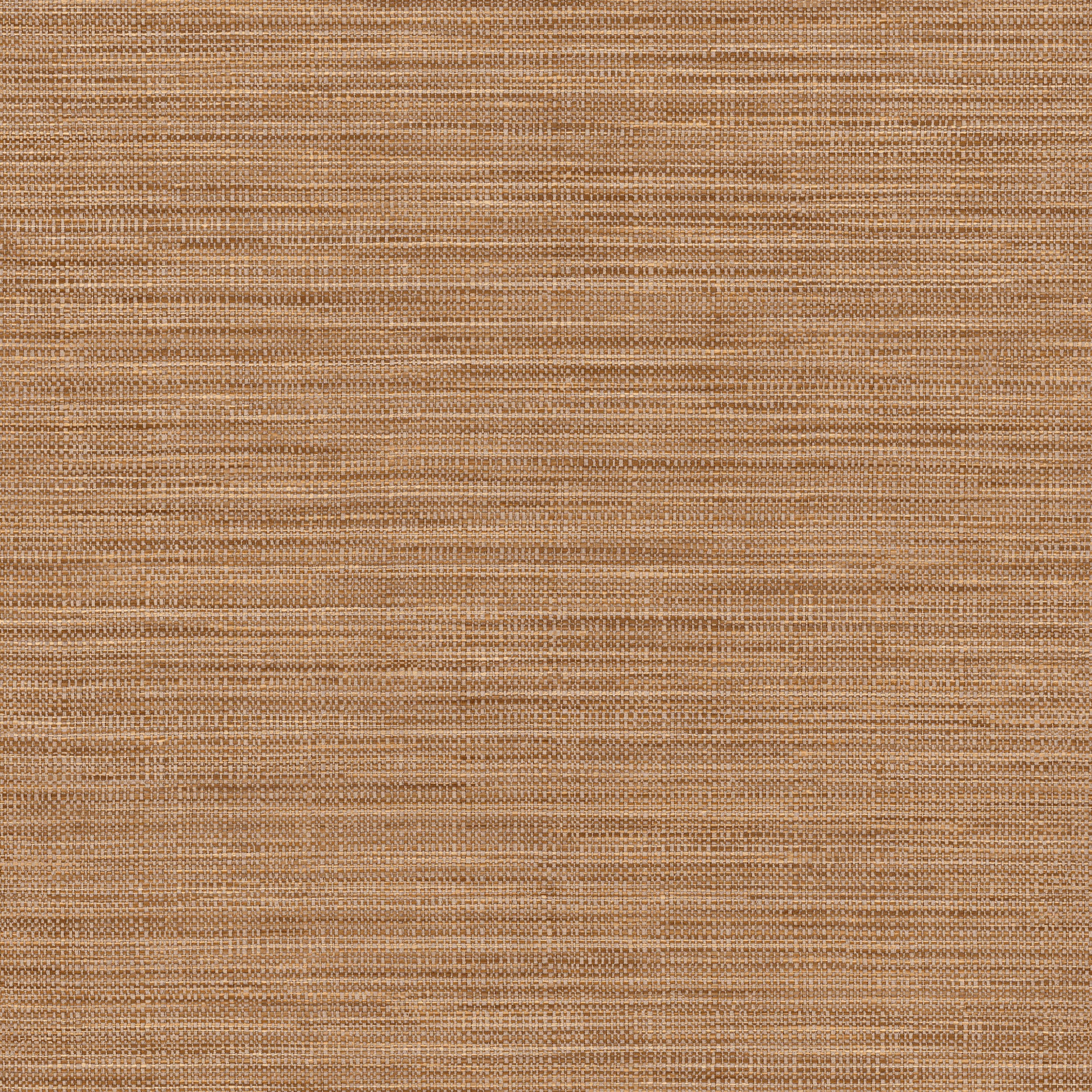 Hooked on Walls Tribu Kasai 29342