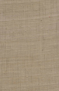 Arte Wild Silk Ghicha Silk 86548