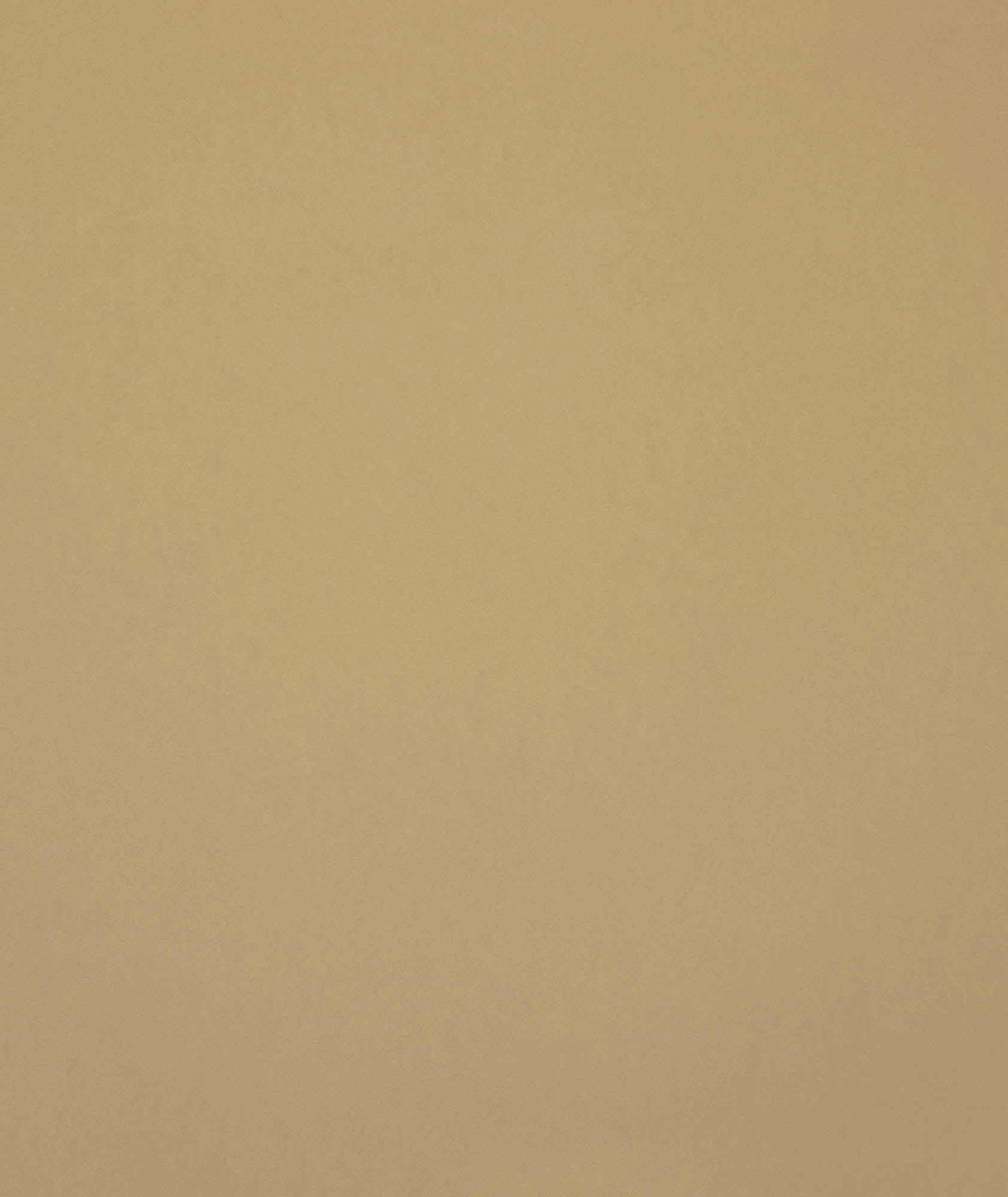 Hooked on Walls Young Traditionals Muro 27850