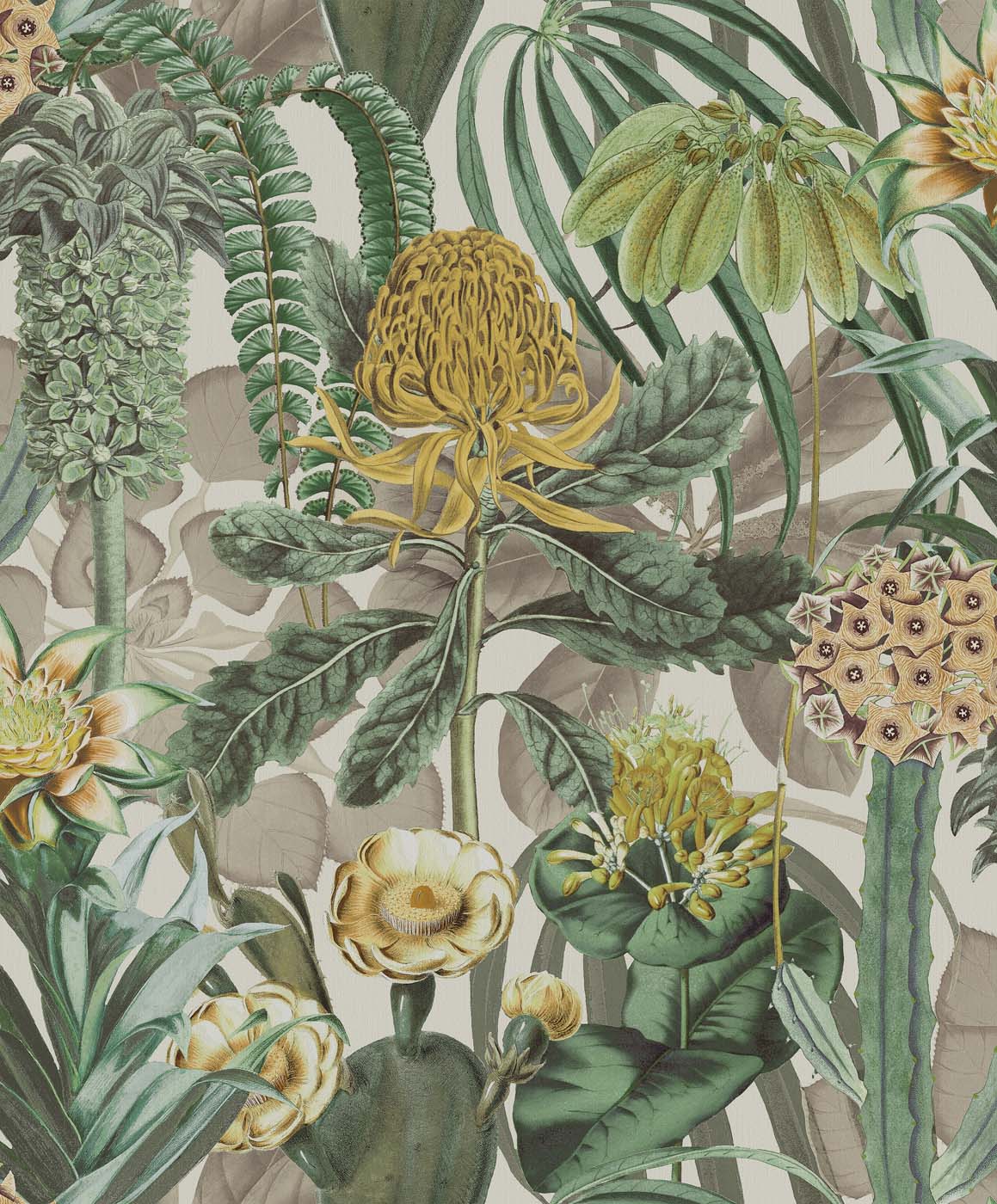 Arte Birds Of Paradise The Botanist BOP601 Behang
