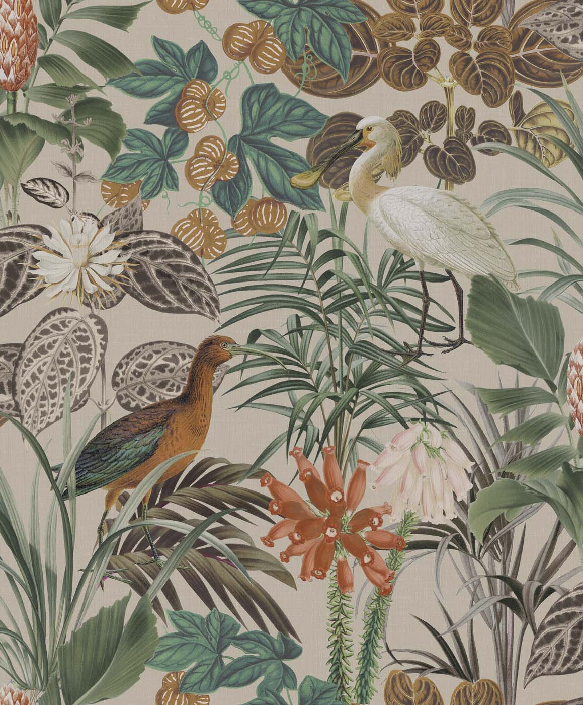 Arte Birds Of Paradise The Wading Birds BOP502 Behang