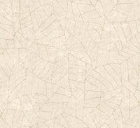Arte Essentials Kaolin Fragment 30331