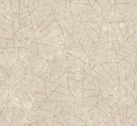 Arte Essentials Kaolin Fragment 30333