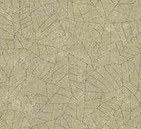 Arte Essentials Kaolin Fragment 30337