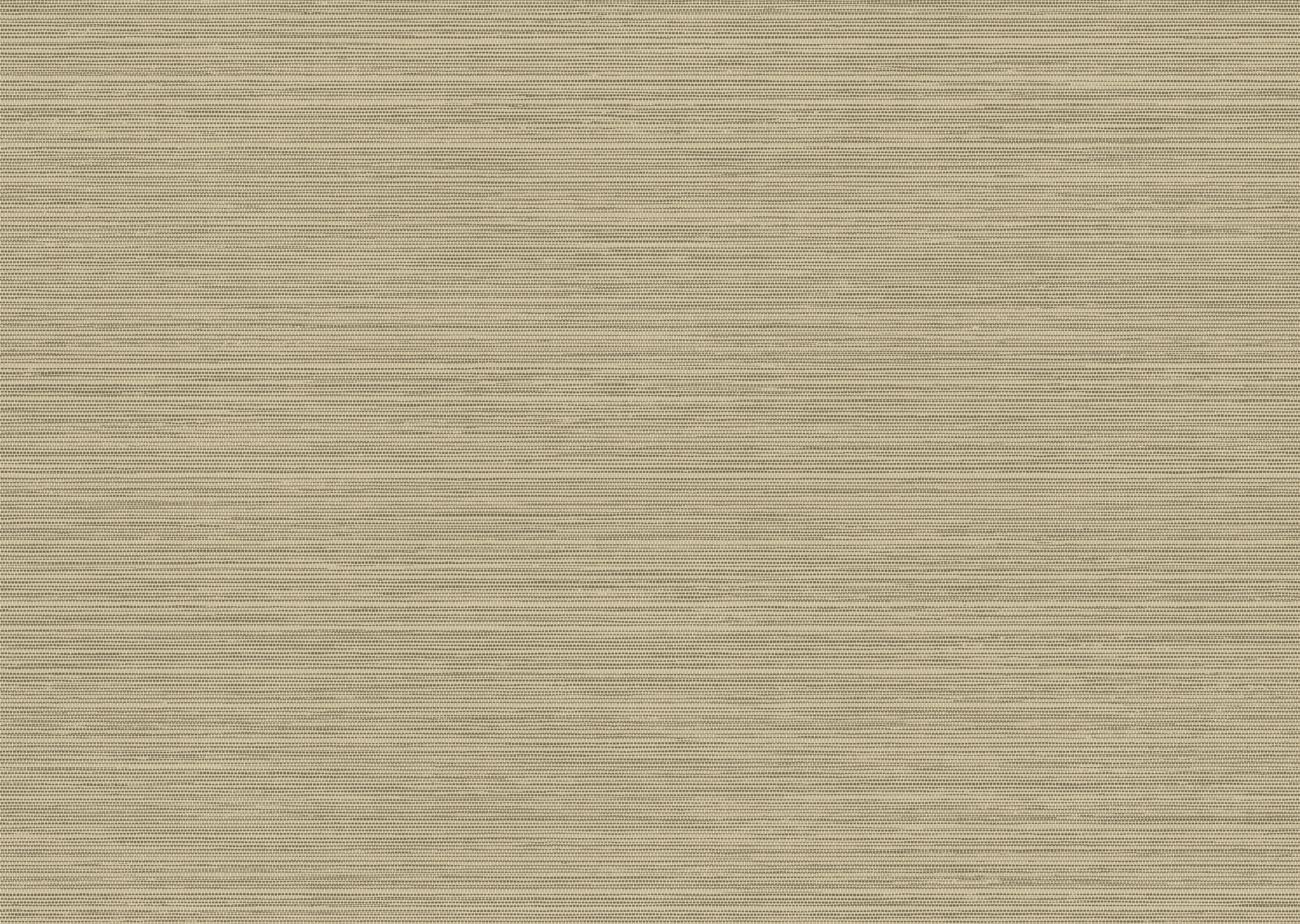 Arte Essentials Les Naturels Le Sisal 26704 Behang