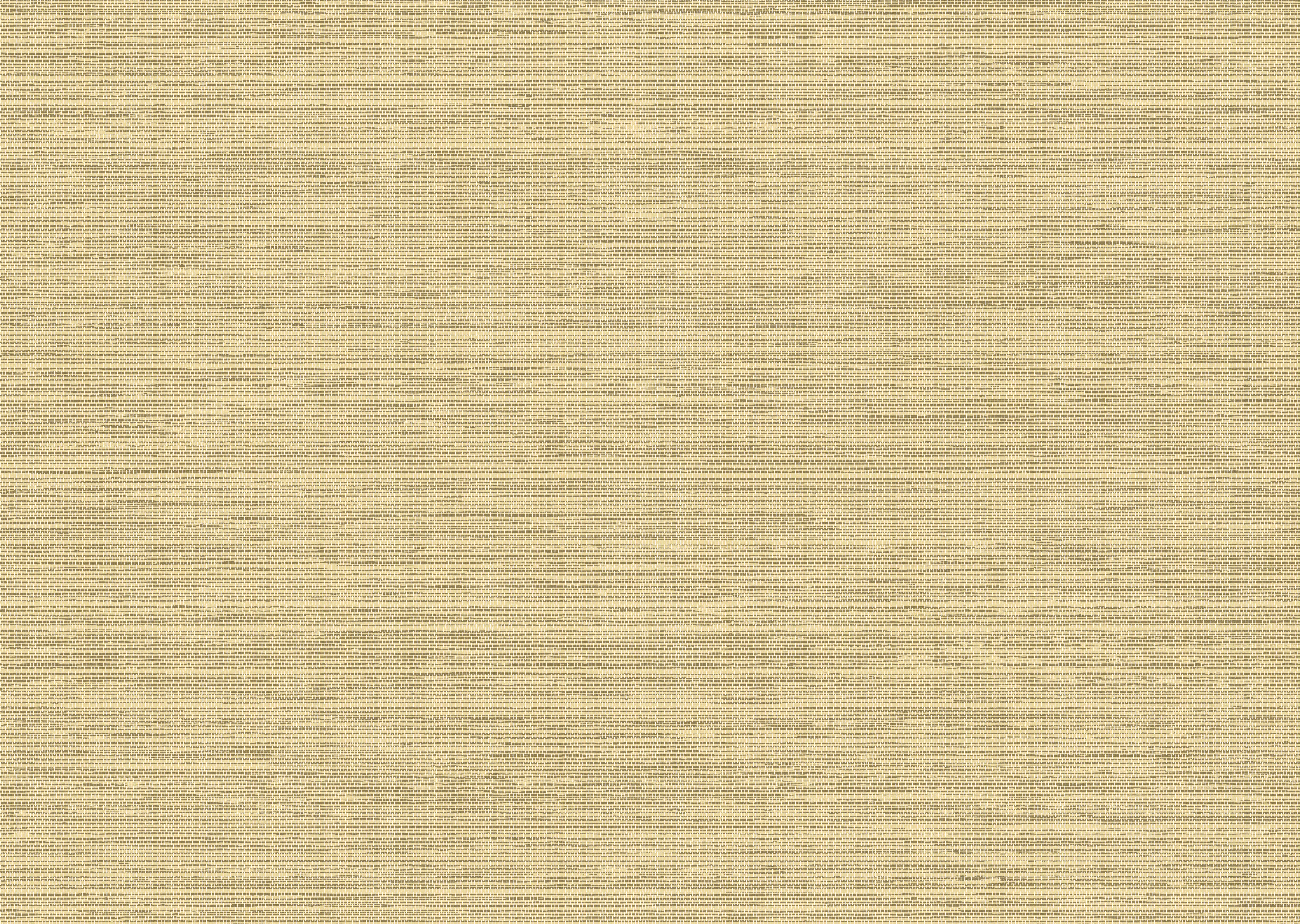 Arte Essentials Les Naturels Le Sisal 26712 Behang