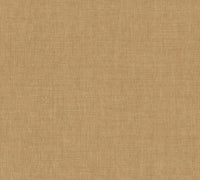 Arte Indienne Mandu 18350
