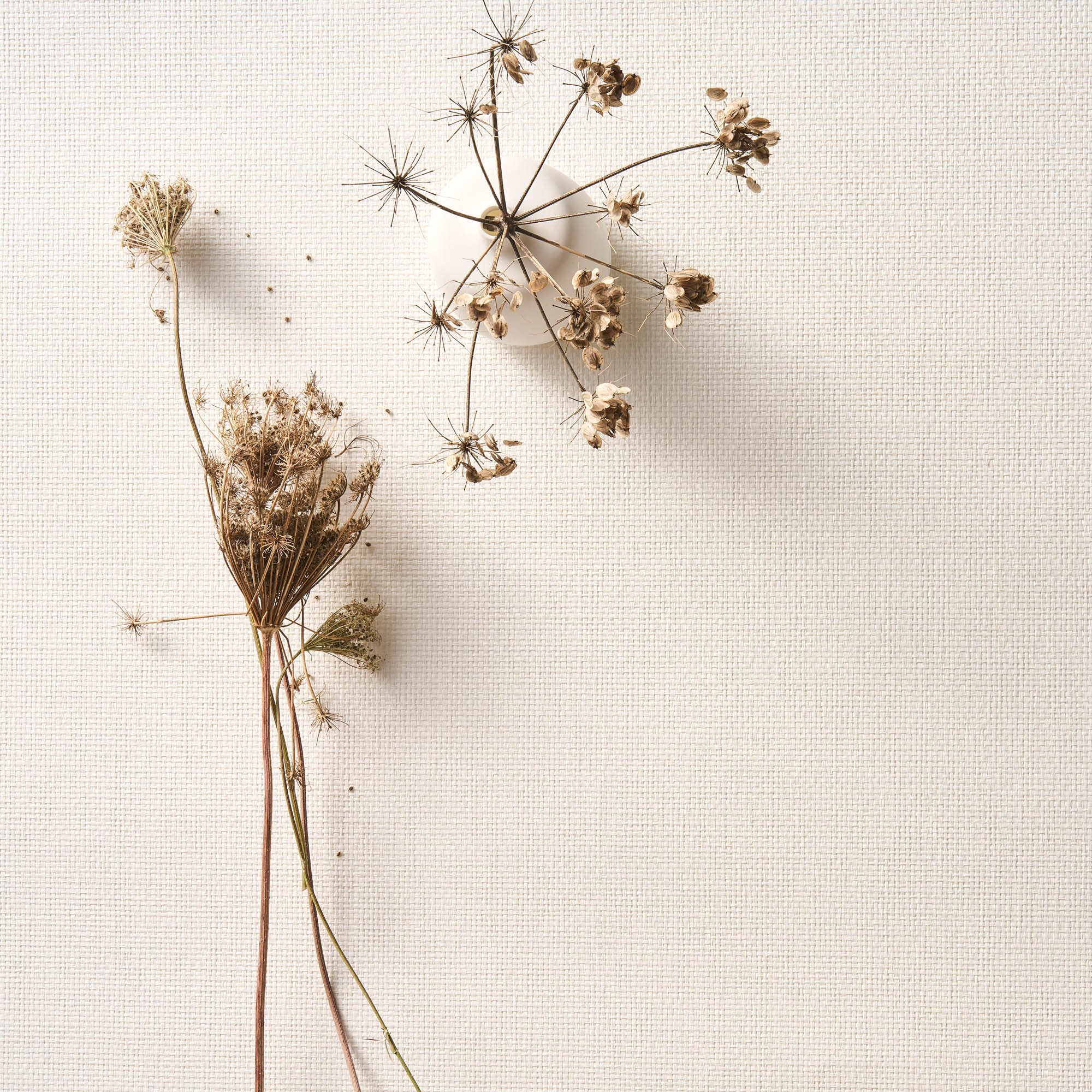 Arte Pure Purity PU451 Behang