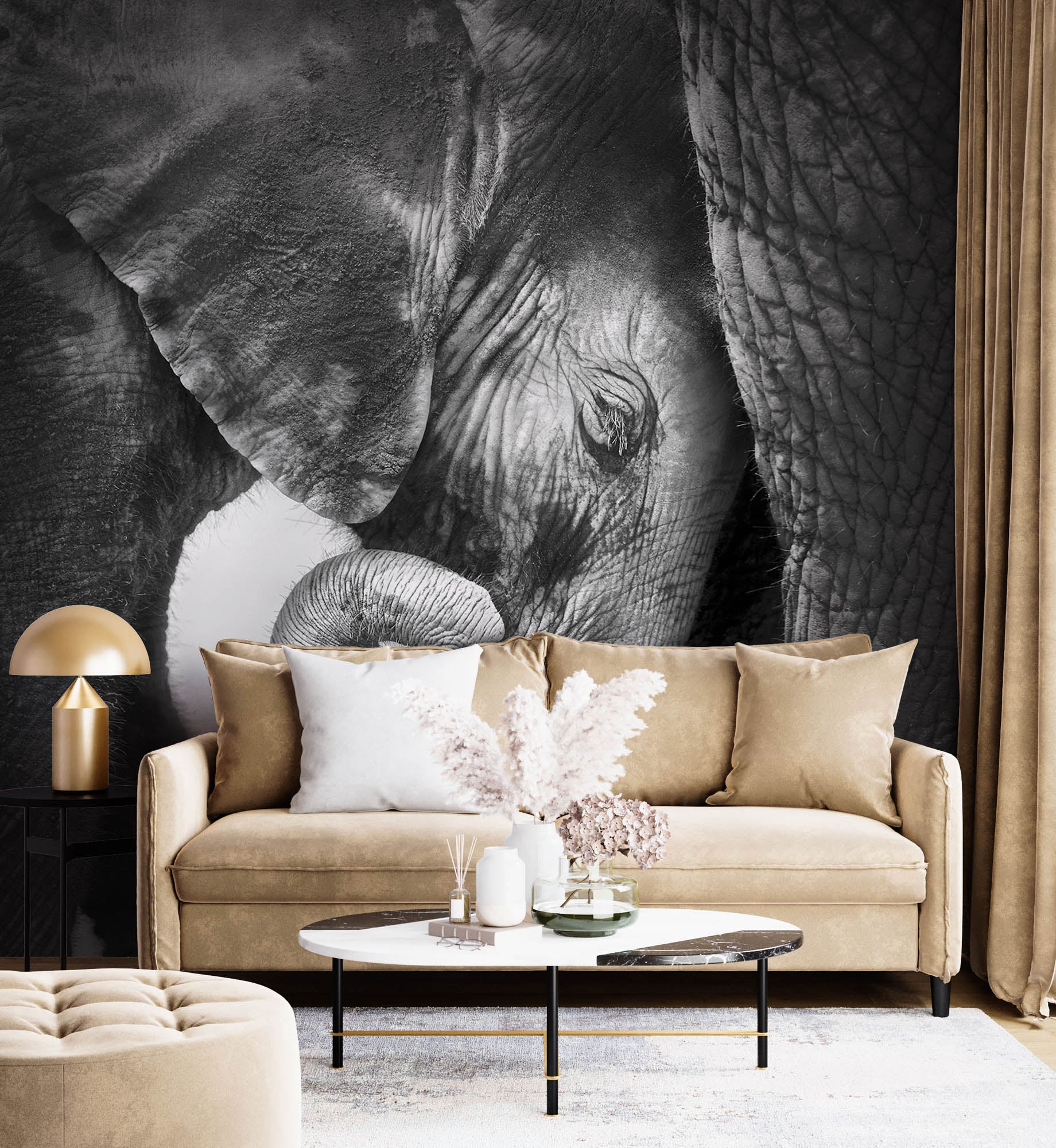 Baby olifant - LW00204 Fotobehang