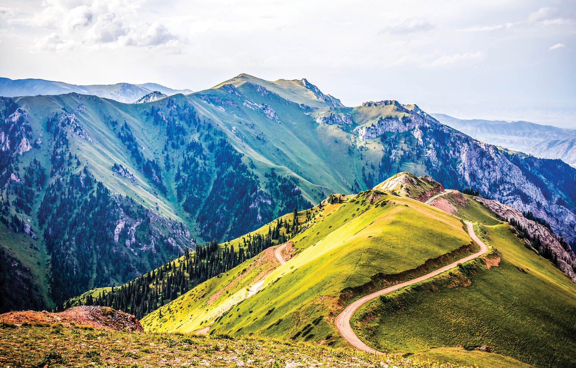 Bergpad in zomer - LW00142 Fotobehang