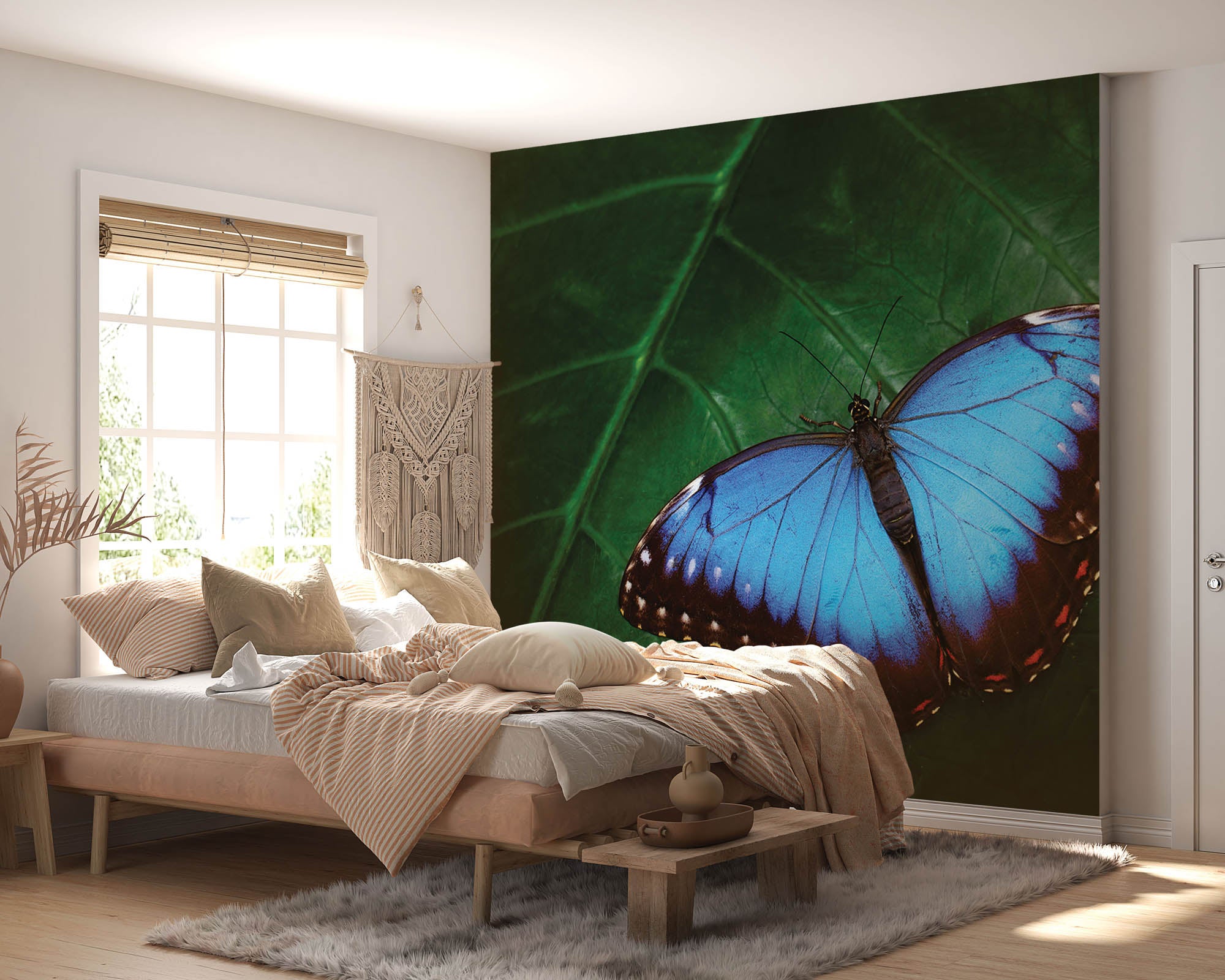 Blauwe vlinder op blad - LW00172 Fotobehang