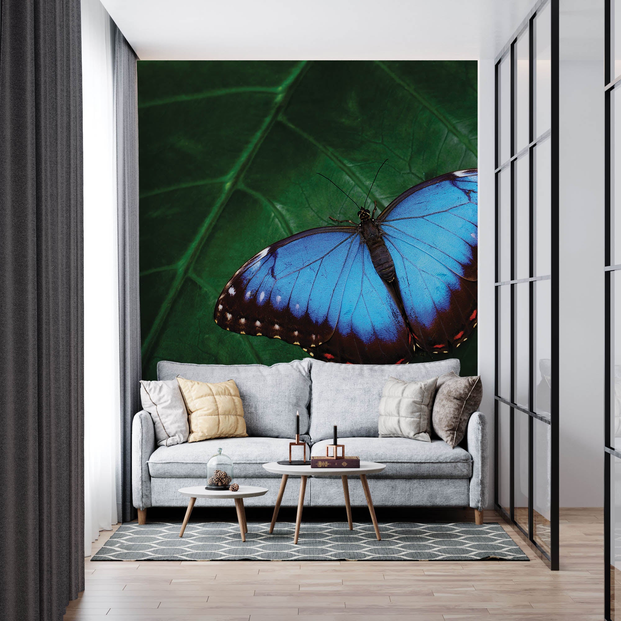 Blauwe vlinder op blad - LW00172 Fotobehang