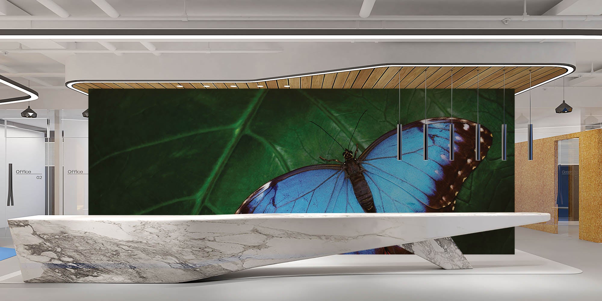 Blauwe vlinder op blad - LW00172 Fotobehang