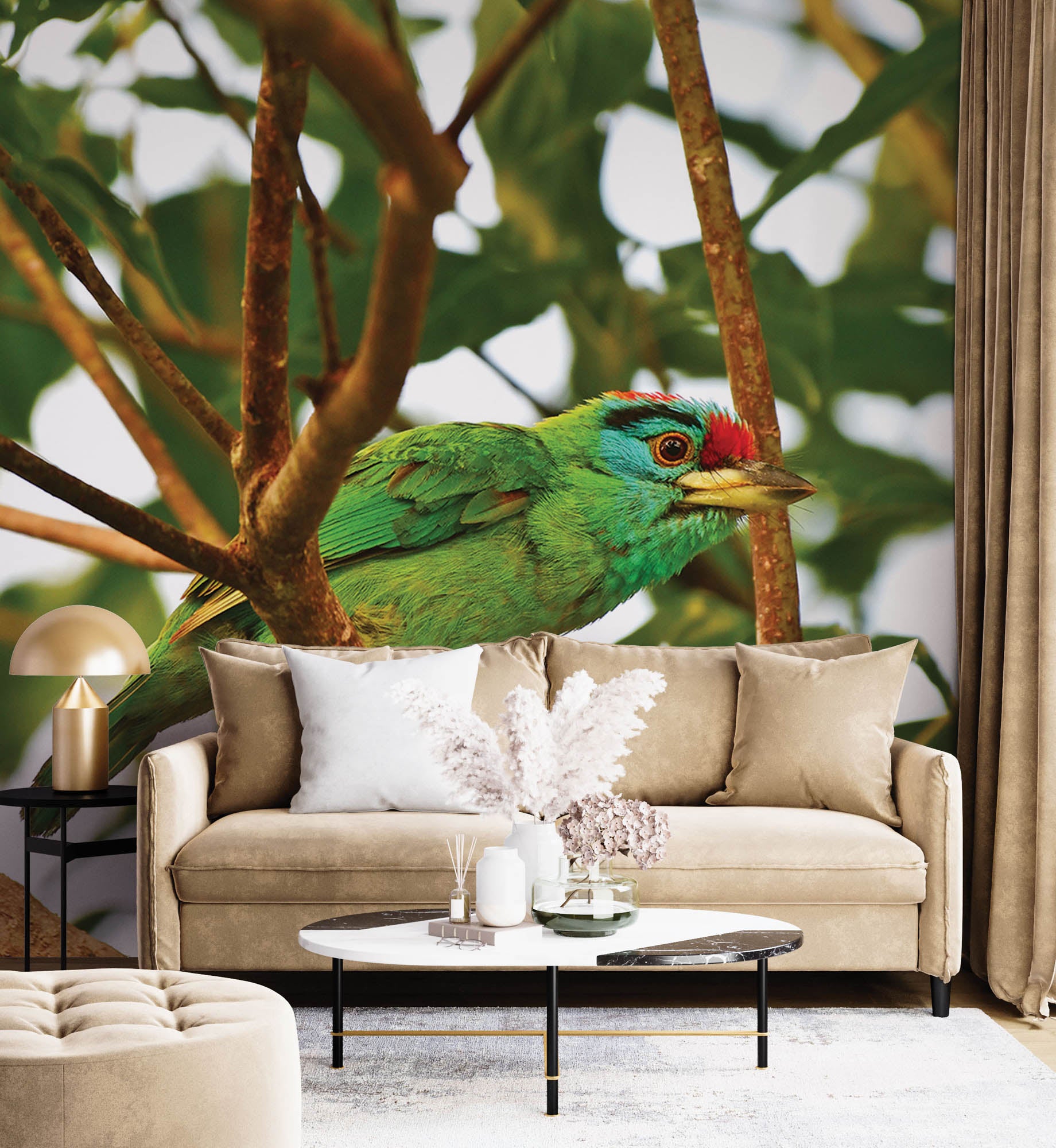 Blauwkeelbaardvogel op tak - LW00198 Fotobehang