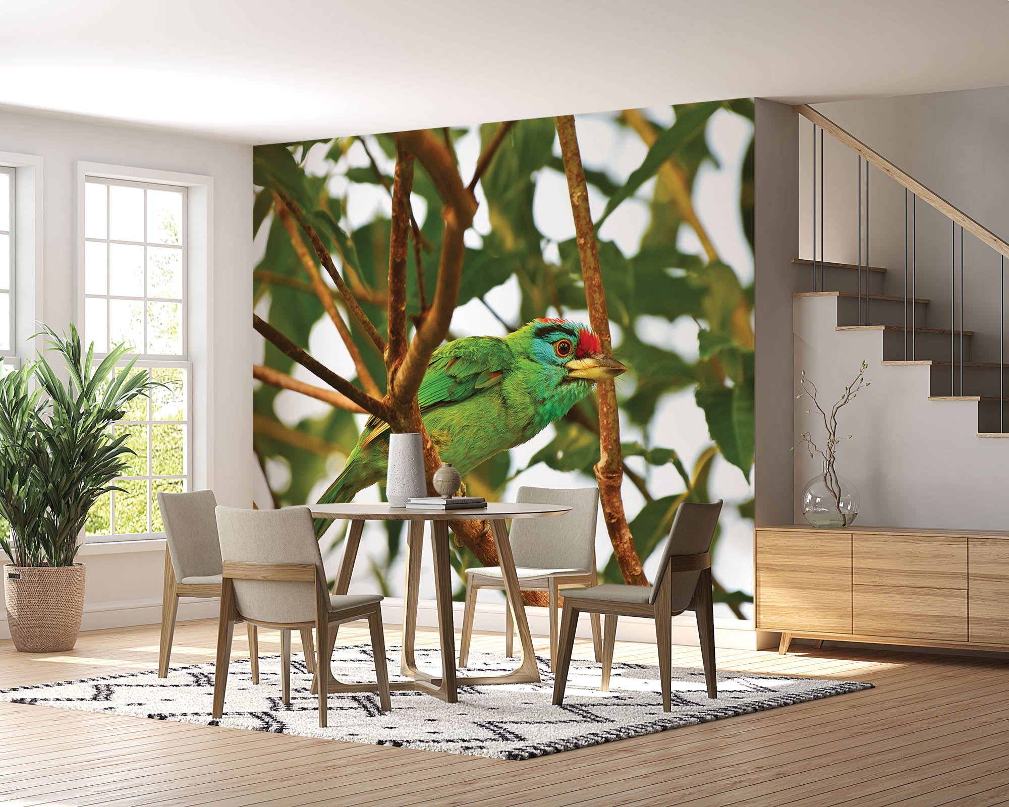 Blauwkeelbaardvogel op tak - LW00198 Fotobehang